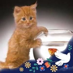 Meet your Posher, Kathy